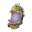 Elite Battle Pass