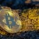 Investasi Kripto Untuk Jangka Panjang